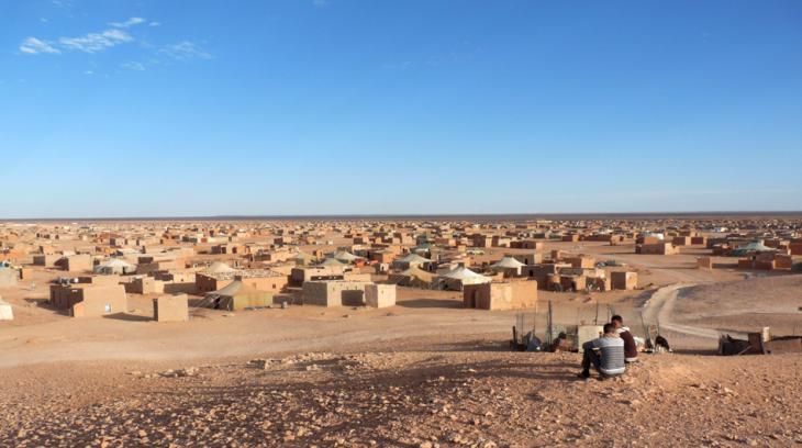 Western Sahara Conflict